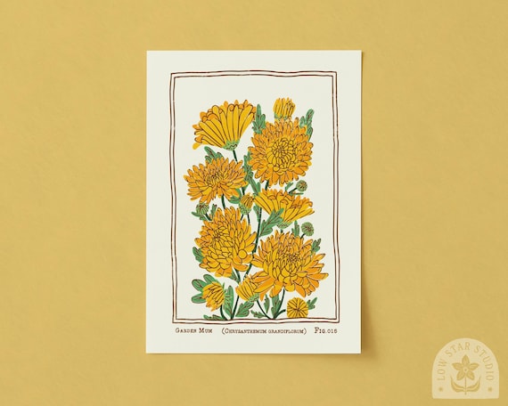 Vintage Style Garden Mums Art Print: November Birth Flower Poster