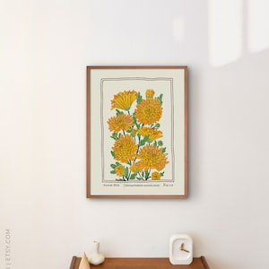 May include: A framed botanical print featuring yellow chrysanthemum flowers with green leaves on a cream background, enclosed in a brown border. The text at the bottom reads Garden Mum (Chrysanthemum grandiflorum) Fig. 016 in a dark brown font.