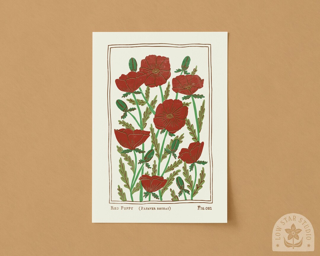 Red Poppy Art Print: Vintage Inspired Botanical Flower Poster - Etsy