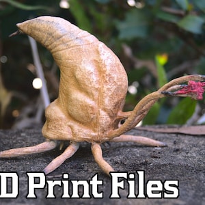 Halo Flood Infection Form 3D Print Files | Miniature / Figurine and High Resolution Model