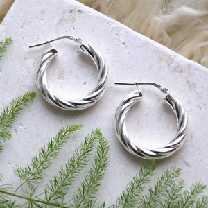 May include: A pair of silver hoop earrings with a twisted design. The earrings are on a white surface with green foliage.