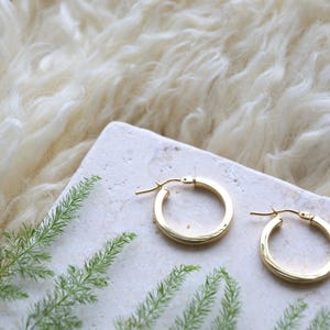May include: A pair of polished gold hoop earrings with a circular design and a hinged post closure. The earrings are displayed on a light-colored, textured stone surface alongside a small green fern frond, showcasing a simple and classic jewelry style.
