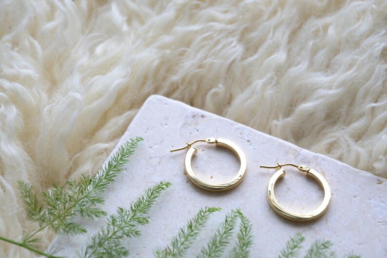 May include: A pair of polished gold hoop earrings with a circular design and a hinged post closure. The earrings are displayed on a light-colored, textured stone surface alongside a small green fern frond, showcasing a simple and classic jewelry style.