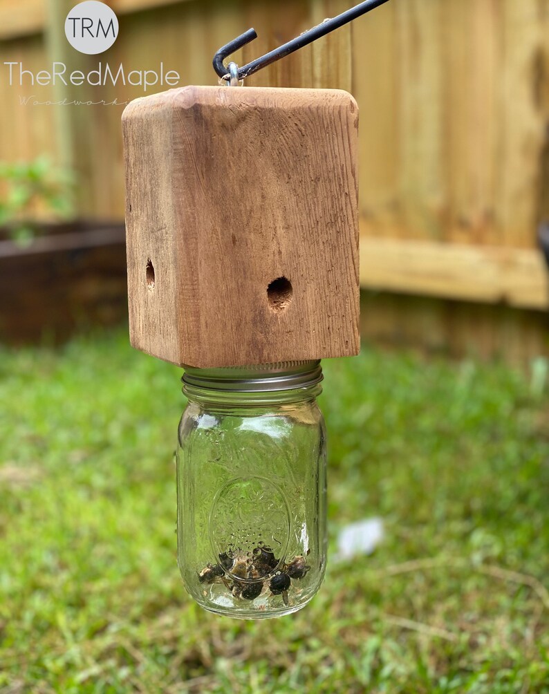 Wood Boring Bee Trap Wood Destroying Insect Trap 100 Etsy