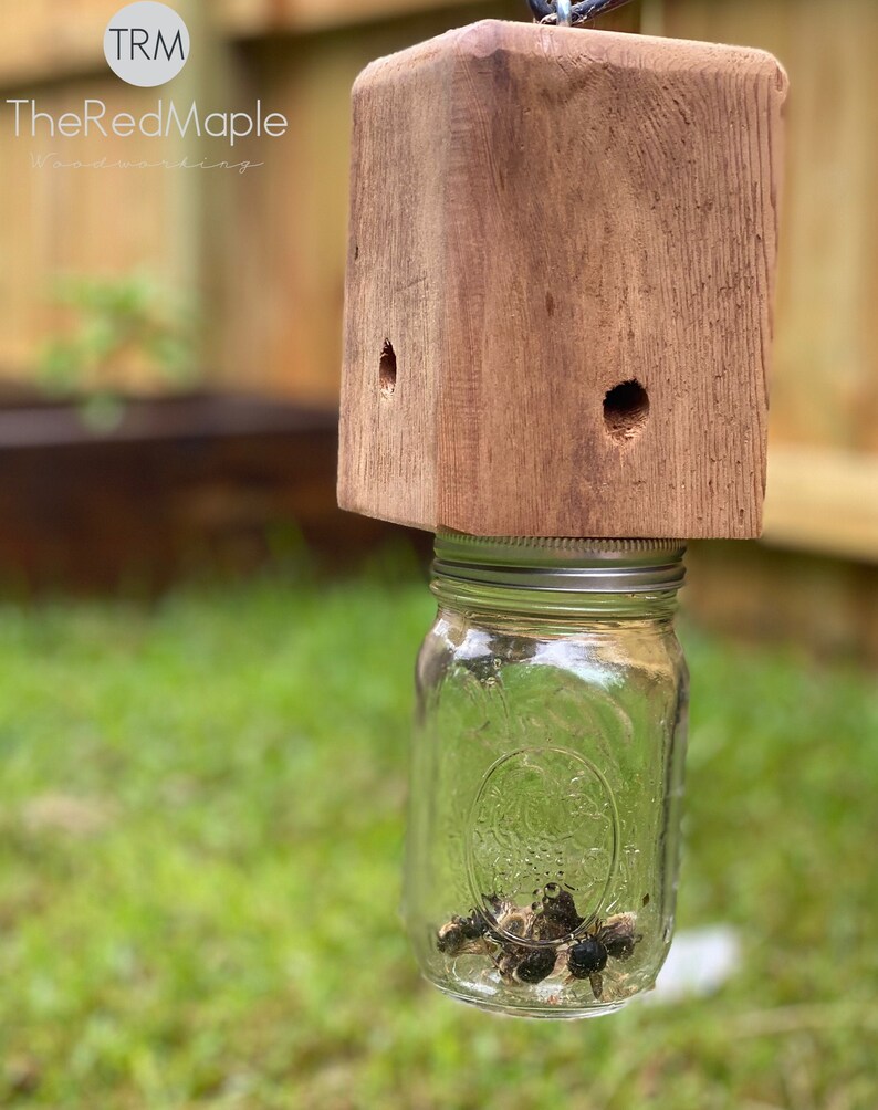 Wood Boring Bee Trap Wood Destroying Insect Trap 100 Etsy