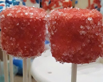 12 Paletas de Malvavisco Veganas Bañadas en Chocolate - Detalles para Fiestas