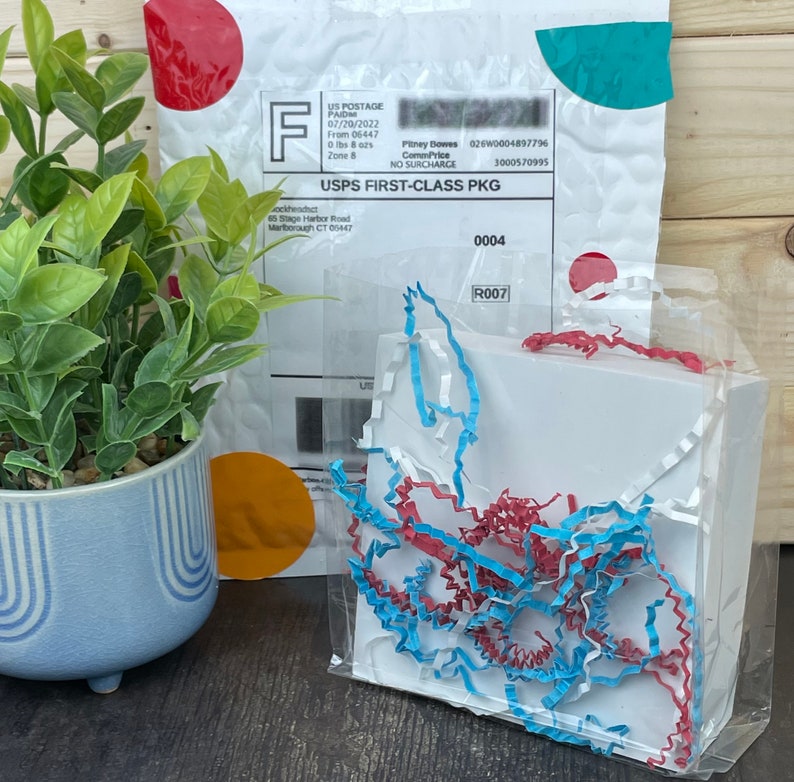 Pu&ograve; includere: Una scatola bianca avvolta in plastica trasparente con carta crespa rossa e blu. Una piccola pianta in vaso e un pacco postale con un'etichetta USPS sono sullo sfondo. L'etichetta di spedizione include la data 20/07/2022.