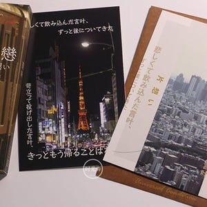 Coleção de cartões postais Japan Lonely Moment (30 peças) | Conjunto de cartões postais da cidade do Japão | Cartão de felicitações realista | Cartão postal Street View | Cartão JR Train