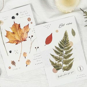 Colección de postales de plantas verdes (18 piezas) / Conjuntos de postales de invernadero / Postales de plantas suculentas / Tarjetas de plantas / Tarjeta de naturaleza de plantas de interior