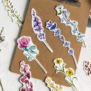 Wild Flower Bookmarks Box Set 30pc | Nature Bookmarks | Bouquet Bookmark | Draw Bookmark Paint | Herbs Bookmark Floral Plant Bookmark Season