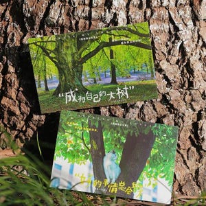 Colección de postales de longevidad con vegetación (30 piezas) / Conjuntos de postales de árboles verdes / Postales de plantas suculentas / Tarjetas de plantas / Tarjeta de naturaleza con plantas de interior