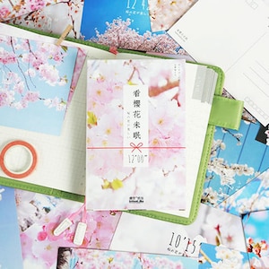 Japan Pink Sakura Postkarten Collection (30stk) | White Sakura Postkarten Sets | Hand Zeichnung Post karten Box | Vintage japanische Postkarten |