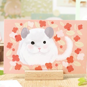 Colección de postales de animales del zoológico en círculo (30 piezas) / Juego de postales de panda / Caja de postales de animales dibujadas a mano / Juego de postales de animales lindos y esponjosos