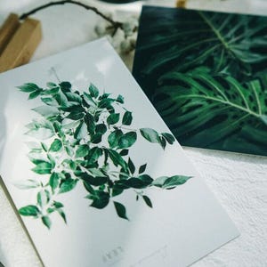 緑の植物の葉っぱのポストカードコレクション (30 枚) | 温室のポストカードセット | 多肉植物のポストカード | 植物カード | 観葉植物の自然カード