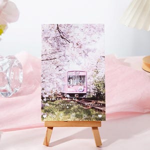 Colección de postales japonesas con imágenes de la temporada de Sakura (30 piezas) / Juego de postales rosas / Caja de postales con recuerdos de Sakura / Postales japonesas auténticas /