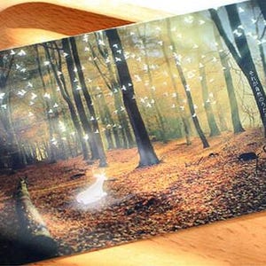 Light of Firefly Postkarten Kollektion (30 Teile) | Hirsch Postkarten Set | Hand Zeichnung Post karten Box | Mystery Postkarten | Buntes Karten Set
