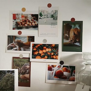 Collection de cartes postales micro-distance (25 pièces) | de cartes postales Fruits colorés | Carte de voeux réaliste | postale de fin gourmet de chat | Carte en forme de mémo