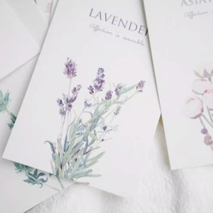 Collezione di cartoline da giardino Mirabell (30pz) / Set di cartoline di piccoli fiori freschi / Scatola di cartoline di rose con disegno a mano / Cartoline di lavanda /