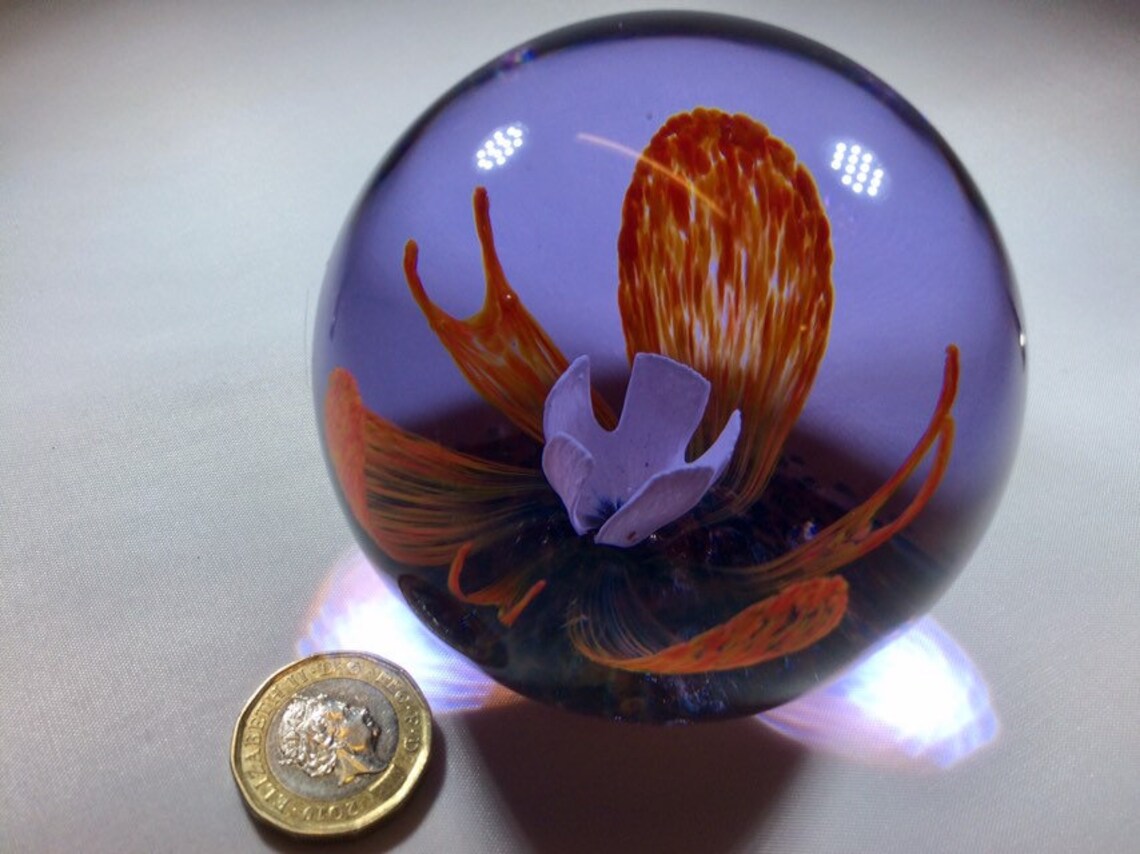 Collectors Club Limited Edition Caithness Glass Paperweight Etsy