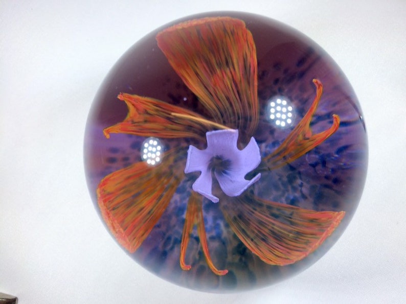 Collectors Club Limited Edition Caithness Glass Paperweight Etsy