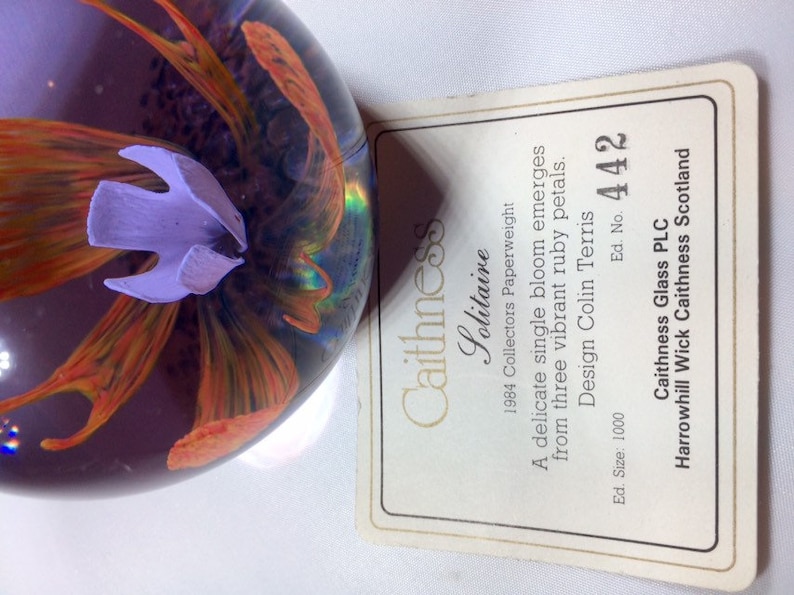 Collectors Club Limited Edition Caithness Glass Paperweight Etsy