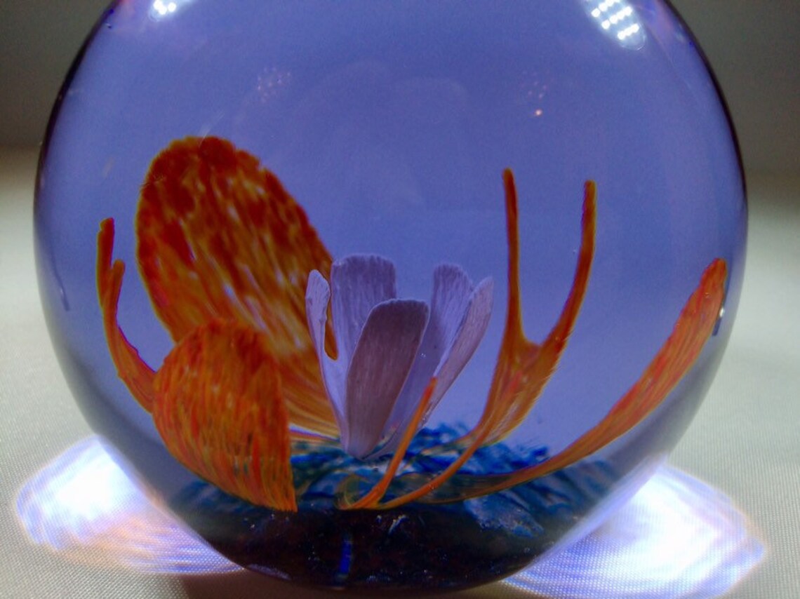 Collectors Club Limited Edition Caithness Glass Paperweight Etsy