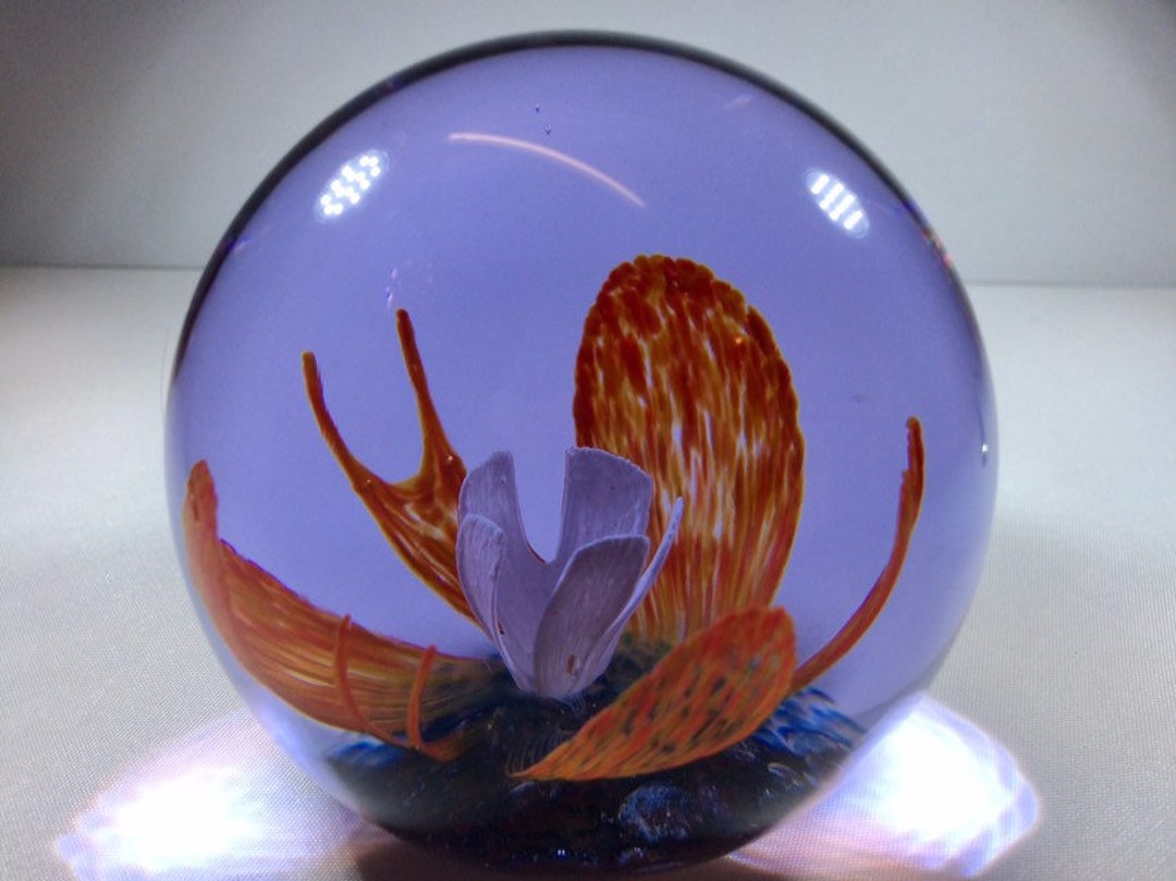 Collectors Club Limited Edition Caithness Glass Paperweight Etsy