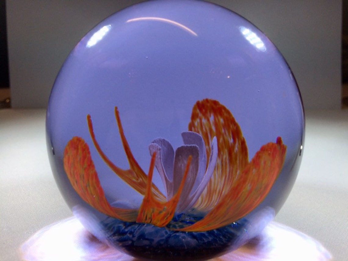 Collectors Club Limited Edition Caithness Glass Paperweight Etsy