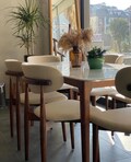 Dining Chair - Chair with Back - Wooden Dining Chair - Personalized Chairs - Modern Chairs for Living Room - Chairs for Dining Room