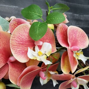 Summer Wreath Peach and Cream Hydrangea Wreath Peaches Wreath Fruit Wreath Orchid Wreath Wreath for Front Door image 6