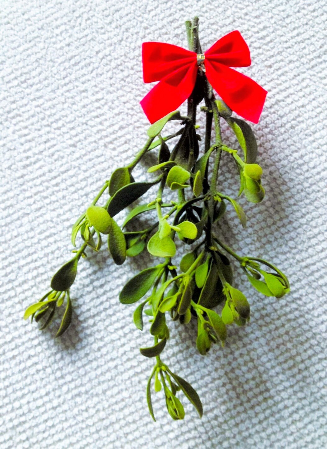 Real mistletoe online