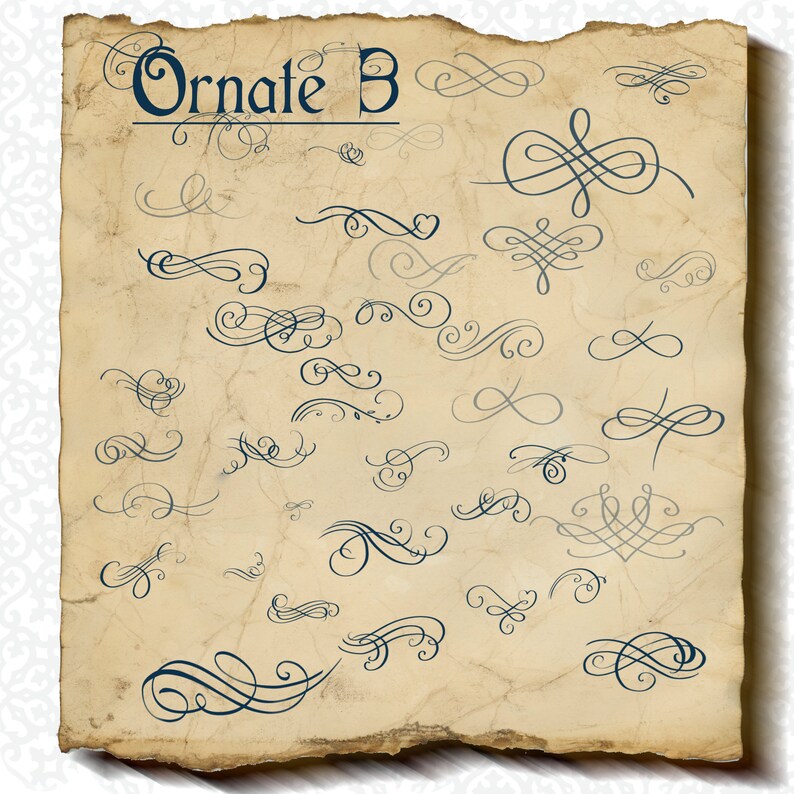 Procreate 100 Swirl Brushes, Floratura Stamps, Ornate Stamps, Lettering