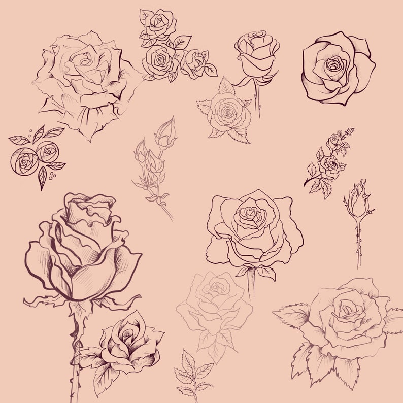 15 Procreate Brushes, Procreate Roses, Procreate Roses Stamp, Procreate Tattoo Style, Roses