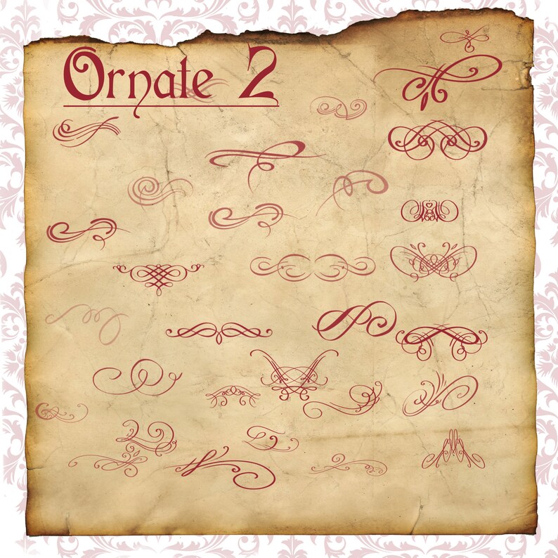 Procreate 100 Swirl Brushes, Floratura Stamps, Ornate Stamps, Lettering