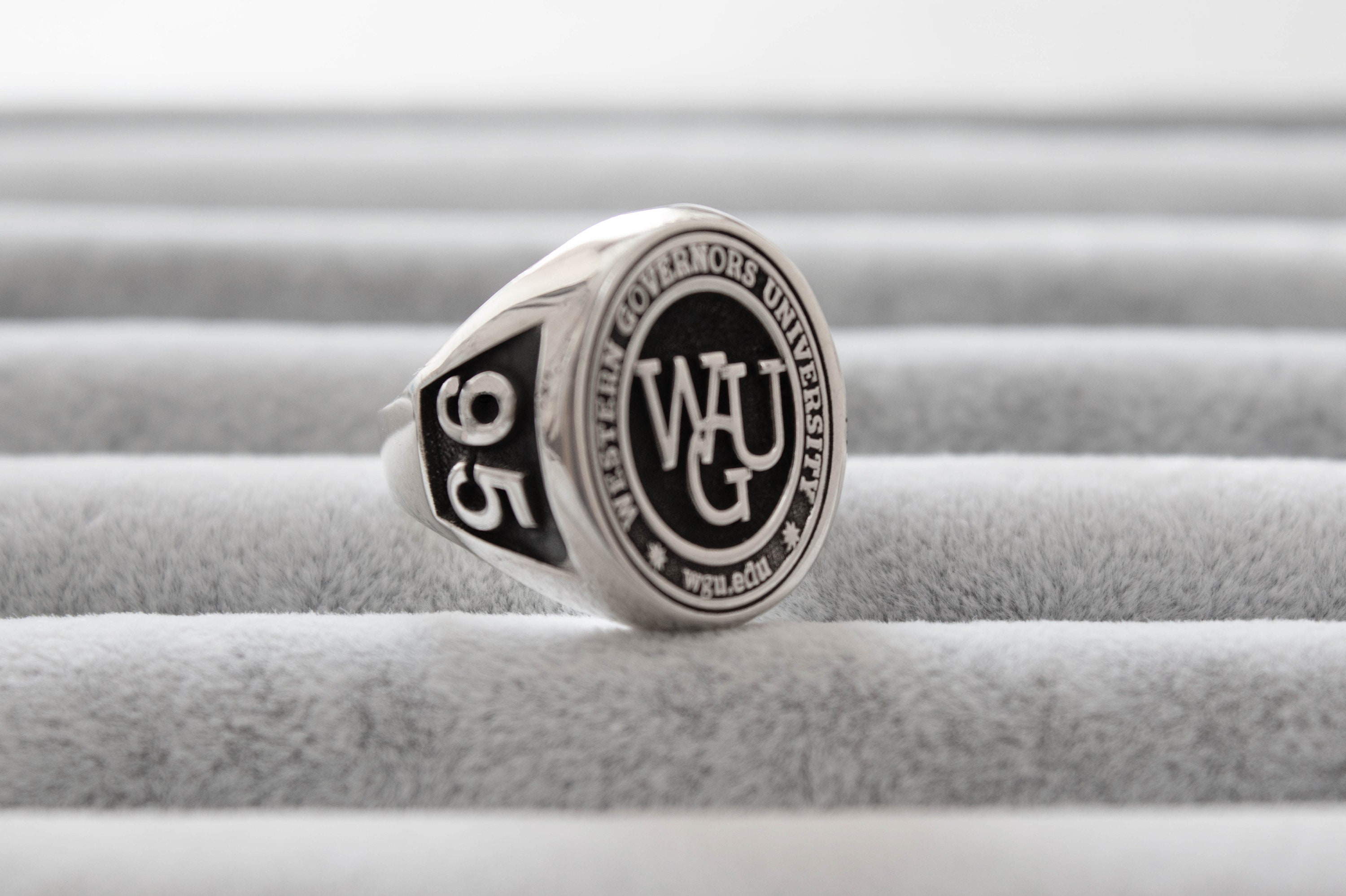 Coat of Arms Signet Ring, College Class Ring, Graduation Ring, Family ...