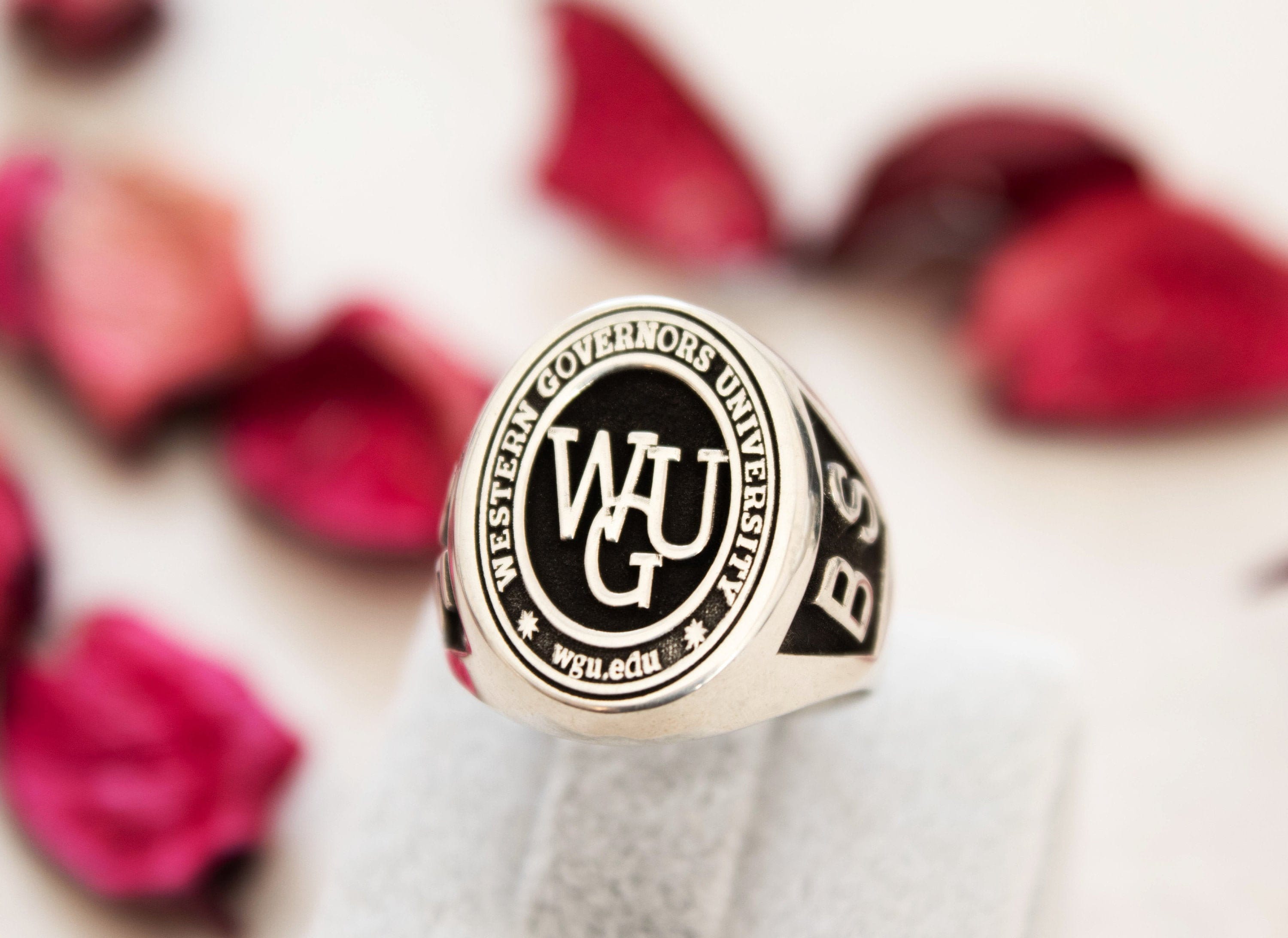 Coat of Arms Signet Ring, College Class Ring, Graduation Ring, Family ...