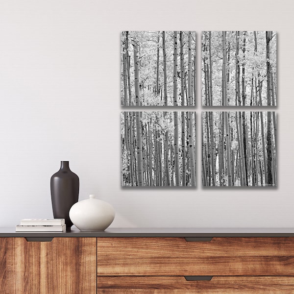 24" x 24" Acrylic Wall Art for Interior Design / Home & Office Decor - Black and White Aspen Trees (4-pack of 12" x 12" panels)