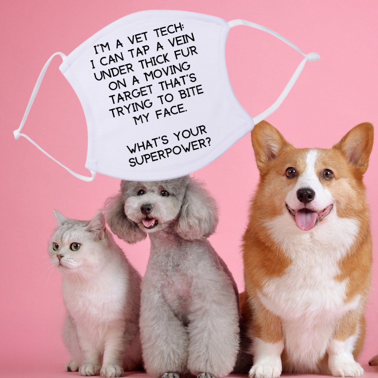 Vet Tech Appreciation Quotes Fur Everywhere Vet Tech Appreciation