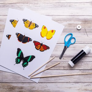 Resources for the Montessori Butterfly Baby Mobile, part of the Montessori Animal Mobile Set