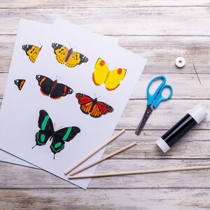Close-up of hand-painted butterfly templates printed on 100g paper for cutting