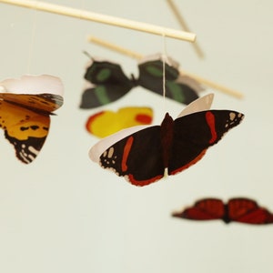 The DIY Montessori Butterfly Mobile, hanging in front of a blue background