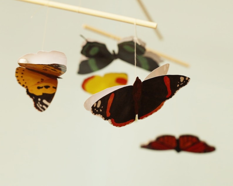 The DIY Montessori Butterfly Mobile, hanging in front of a blue background