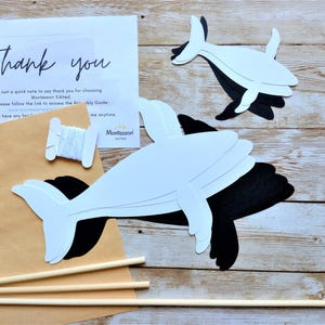 Pre-cut resources for the Montessori Whale mobile, part of the Montessori Animal Baby Mobile Set.