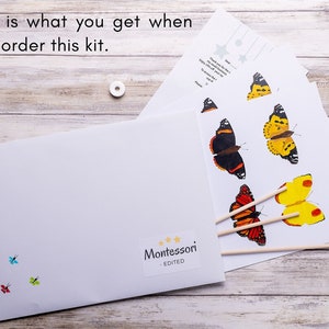 Flat lay of mobile kit contents: butterfly sheets, embroidery thread, and wooden dowels