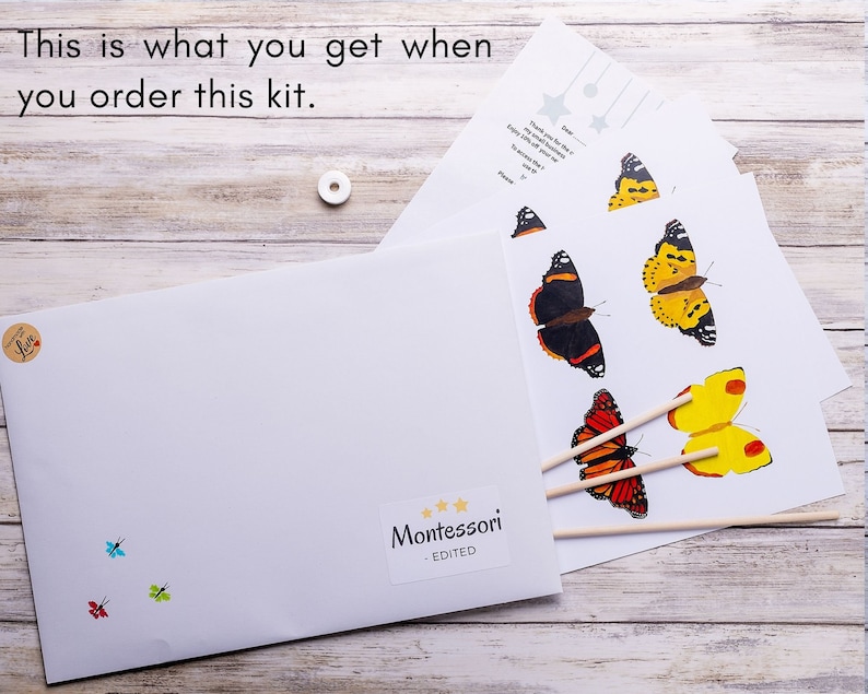 Flat lay of mobile kit contents: butterfly sheets, embroidery thread, and wooden dowels