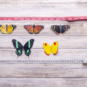 butterfly shapes as a calming DIY pregnancy project, measurements of the butterflies.