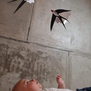 Close-up of a baby’s face watching the black and white swallows mobile with focus and curiosity.