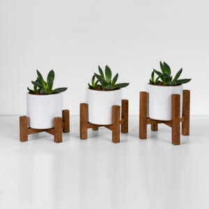Miniaturowy, ciemnobrązowy stojak na doniczki o średnicy do 7 cm – dostępny w 3 różnych wysokościach – pojedynczo lub w zestawie 3 sztuk | Mid Century Modern