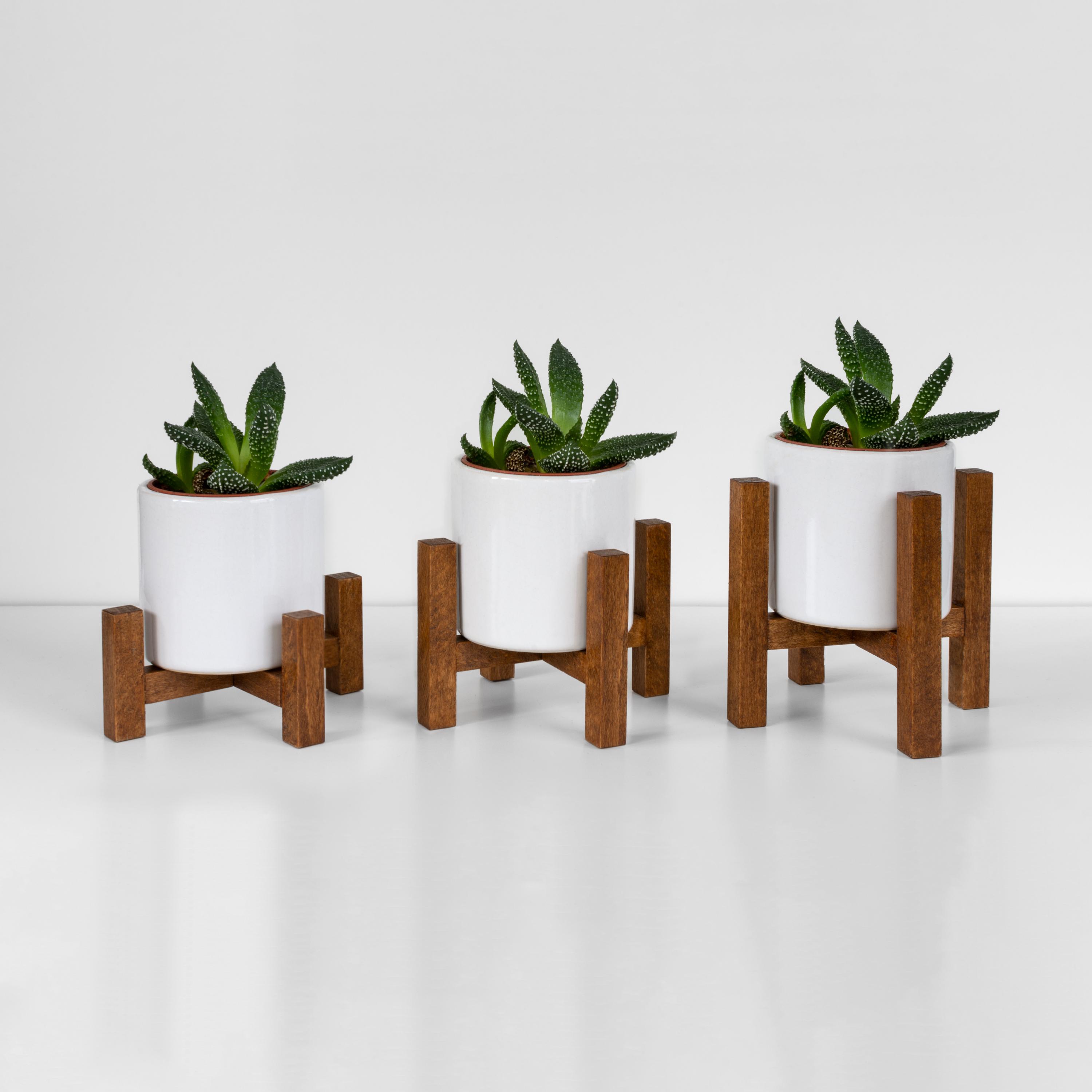 Bamworld Support réglable pour plantes d'intérieur, support de pot de fleurs d'intérieur en