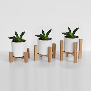Mini Pflanzenständer Buche für Töpfe bis 7 cm - erhältlich in 3 verschiedenen Höhen - einzeln oder 3er Set | Mid Century Modern